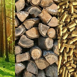 Centralnoevropska konferencija o biomasi
