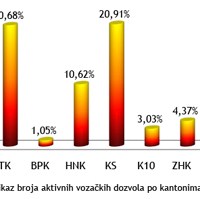 BIHAMK: U 2010. godini u BiH 1.330.719 aktivnih vozačkih dozvola