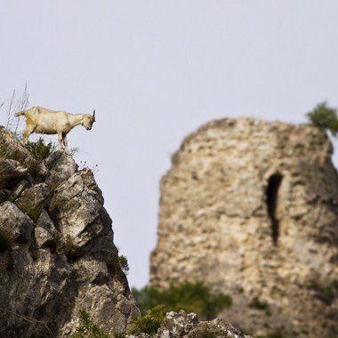 Fotografija sedmice: Na putu prema dole - Andrija Vrdoljak
