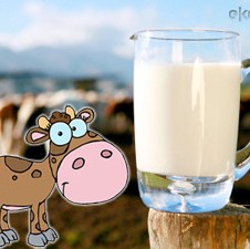 Mlekare iz BiH neće profitirati na nestašici mleka u Srbiji
