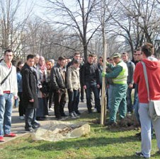 Sarajevo: Deset lipa za Svjetski dan šuma