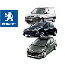 U novembru 2007. godine prodato 56 Peugeota