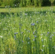 Lan - budućnost razvoja poljoprivrede Bosanskog Petrovca