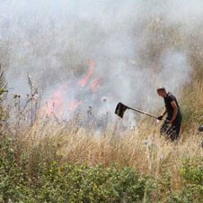 Bitka s požarima izgubljena za ovu godinu, ali nije izgubljen rat