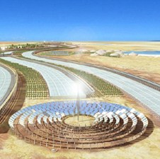 Katar ulaže u projekat "Šume u Sahari"
