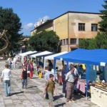 U Novom Travniku 27. i 28. juna 2008. godine Međunarodni sajam poljoprivrede organske proizvodnje