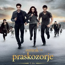 Slika
