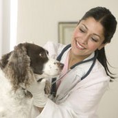 Livno: Simpozij o poljoprivredi i veterinarstvu od 19. do 20. maja