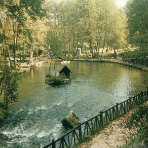 Slika