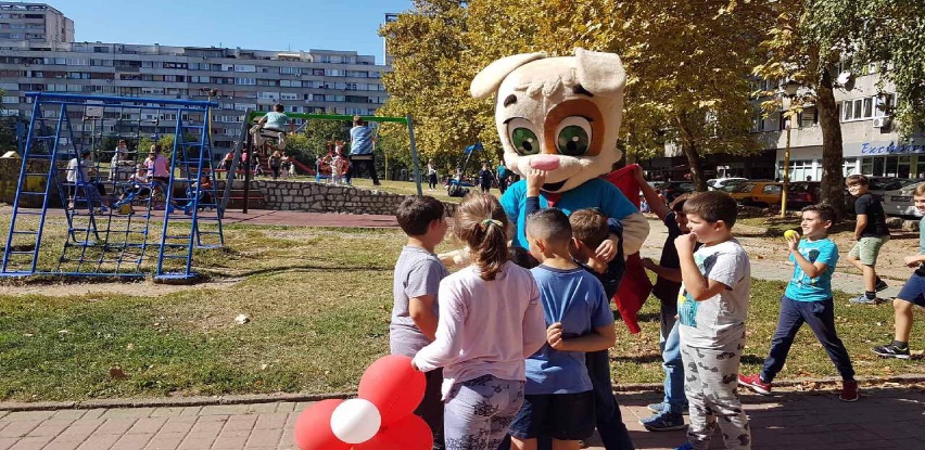 Slika