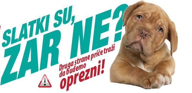 Do kraja novembra uradite besplatnu dijagnostiku uzročnika mastitisa