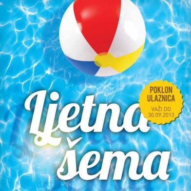 Slika