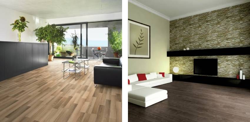 Conty plus laminati