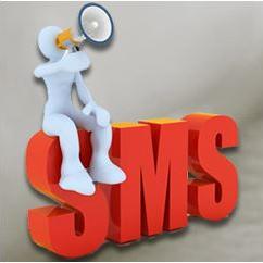 Prvi i jedini SMS provajder u BiH: SMS Vision Banja Luka