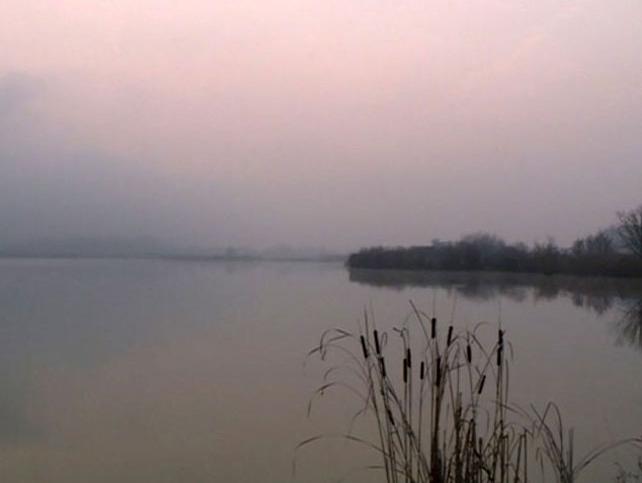 Prijedorski ribnjak propada: Radnici bez plate, riba bez hrane