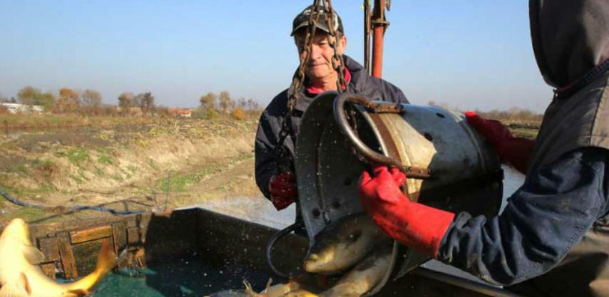 Ribari konačno oslobođeni carine