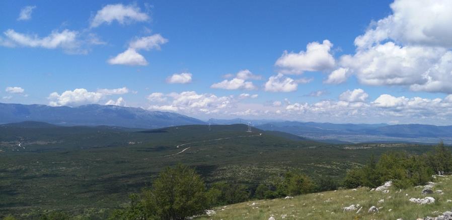široka draga