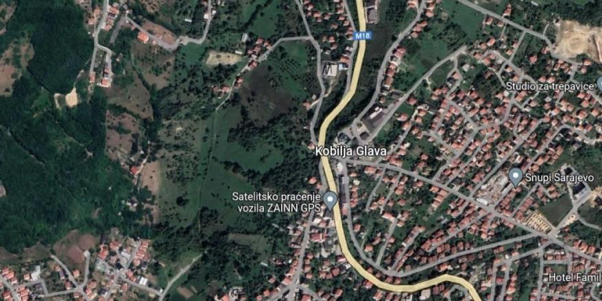 kobilja glava