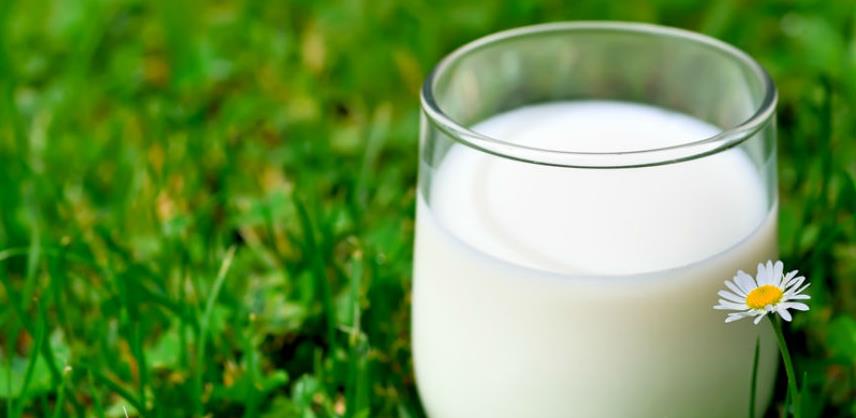 Jedna čaša mlijeka dnevno povećava rizik za rak dojke 50 posto