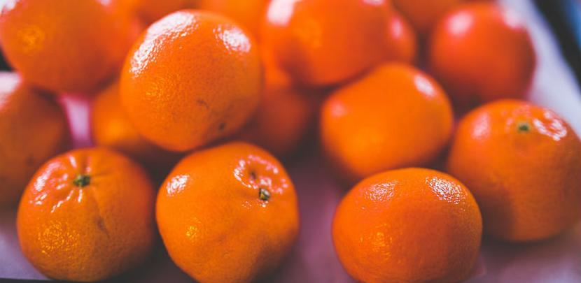 Grade tvornicu za preradu mandarina, najavljeno zapošljavanje 50 ljudi