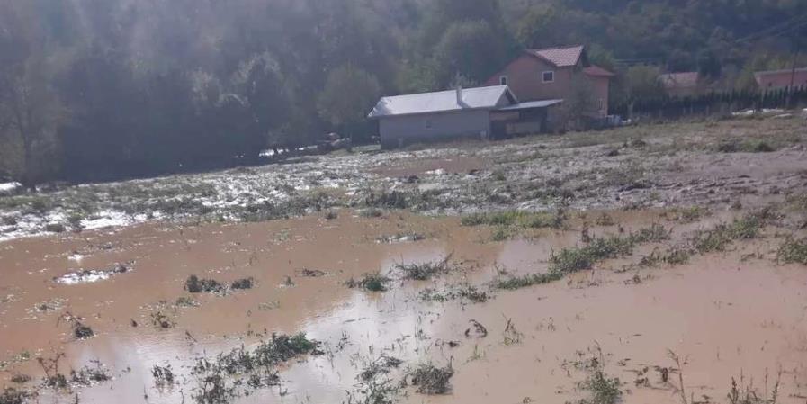 poplave