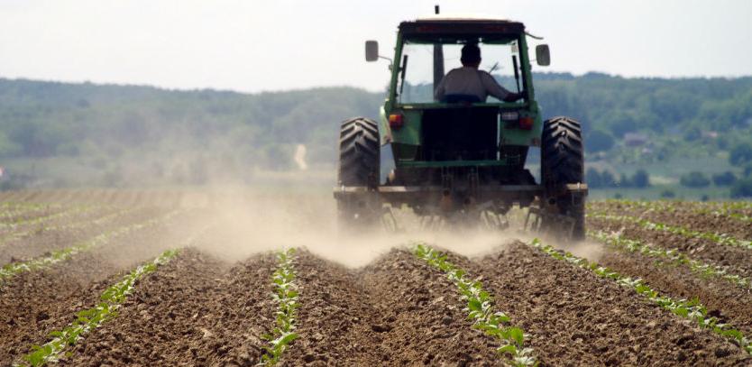 Poljoprivredno zemljište ide u zakup, uskoro i javni oglas