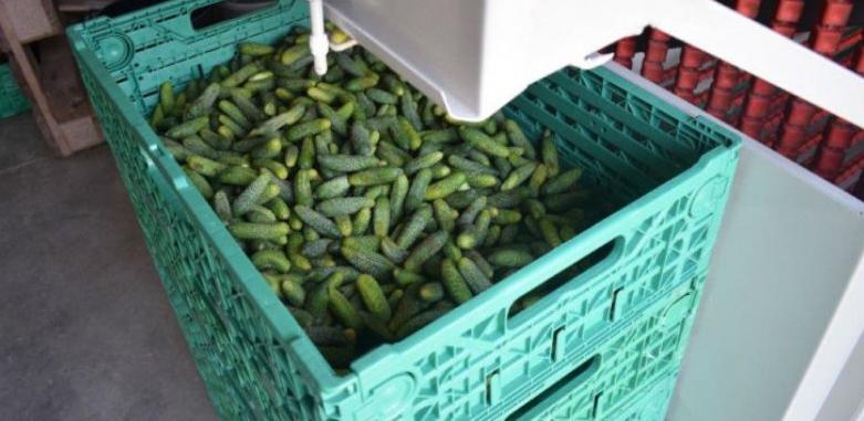 Zadruge koje hrane stotine porodica: U "Gračanki" je uvijek sezona!