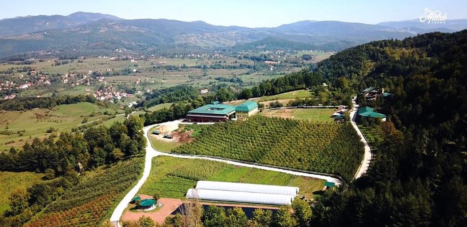 Pozitivna priča: Kako je Malak Grupacija sačuvala radna mjesta