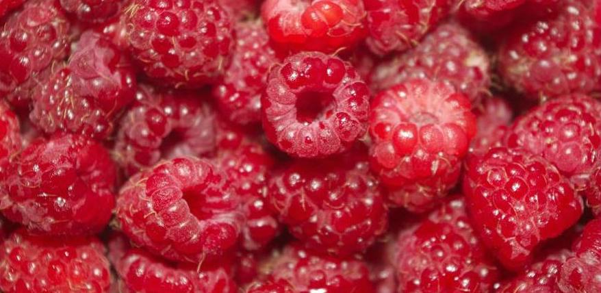 Malinari zadovoljni cijenom od 2,5 KM