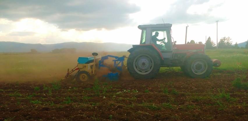 Livno