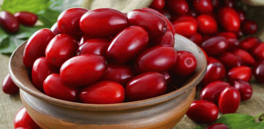 Drenjine: Voće neodoljivog ukusa i ljekovitih plodova