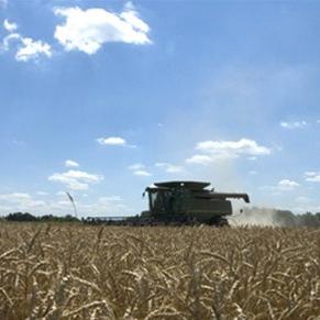 Slovenija mora vratiti dio subvencija u poljoprivredi