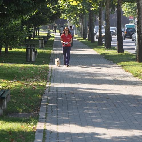 Alipašina i ulica Svetozara Ćorovića u Sarajevu dobile novi izgled
