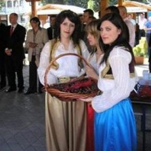 Više od 280 izlagača na Danima trešnje 2014. u Mostaru