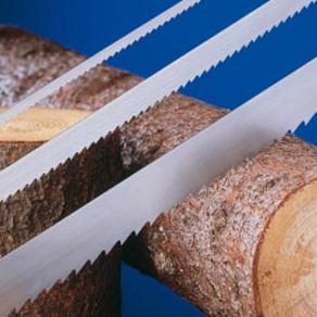 Fabrika drvene stolarije stiže u Trebinje?